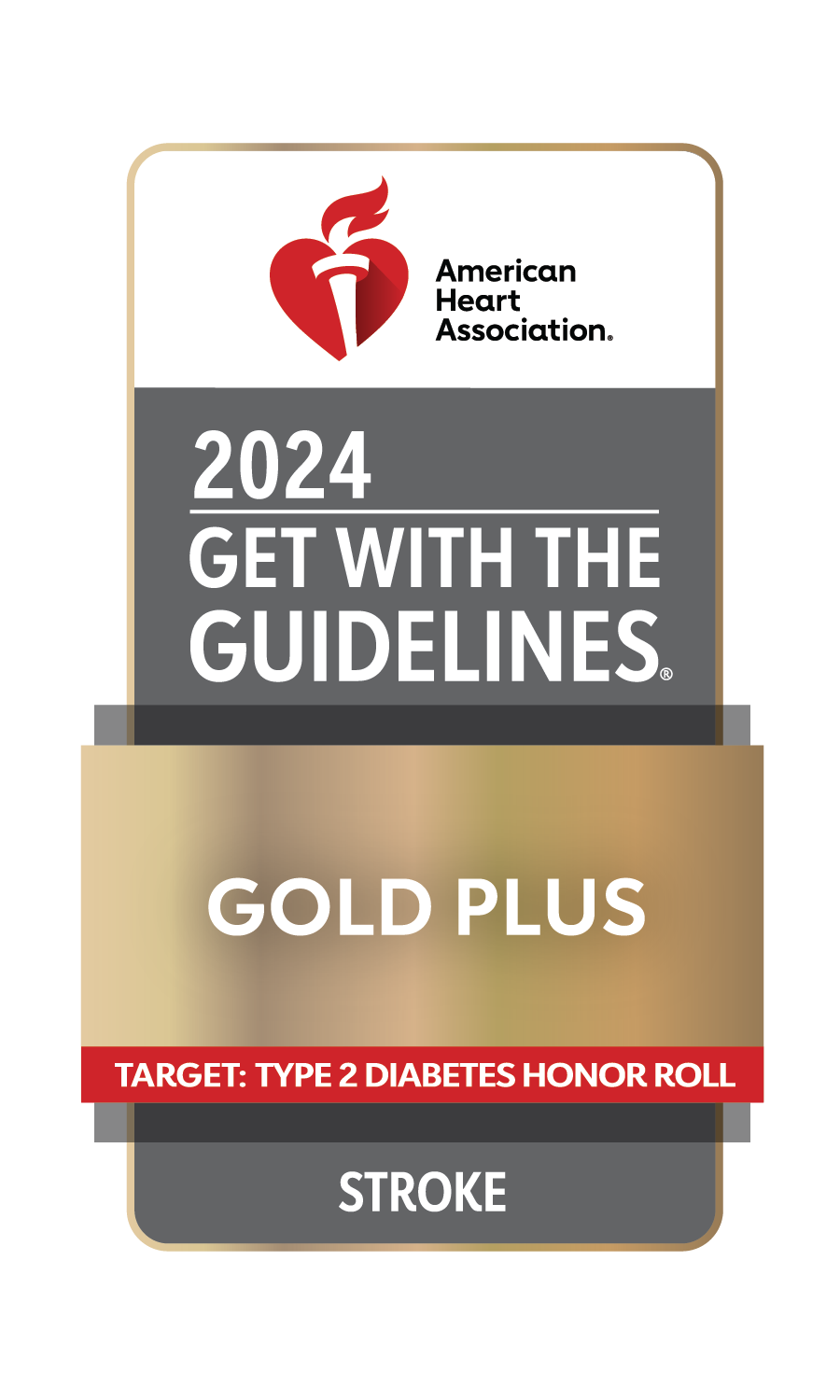 Get With the Guidelines 2024 Gold Plus Award - TT2DHR